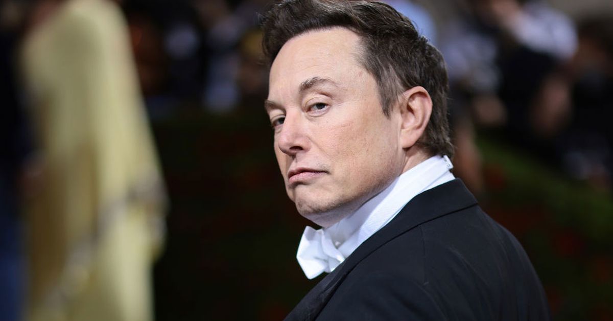 Elon Musk appears to confirm birth of 14th child