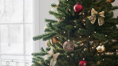 When to put up your Christmas tree, take it down and other tips ...