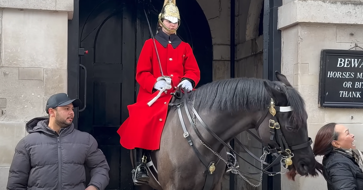 King's Guard horse grabs woman's ponytail in shocking moment caught on