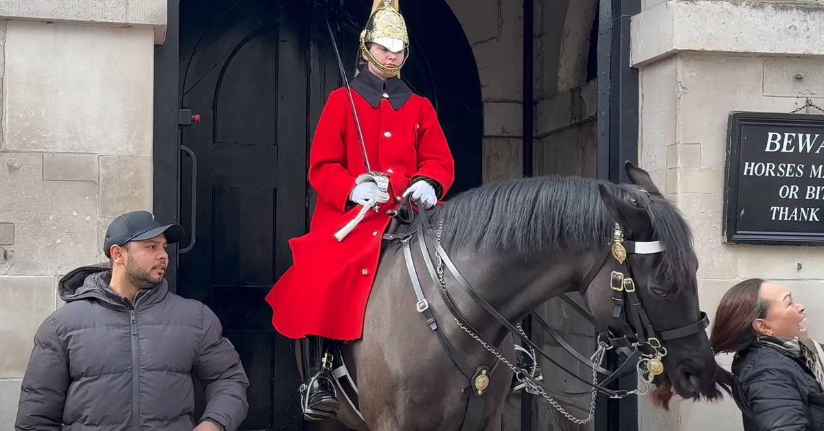 King's Guard horse grabs woman's ponytail in shocking moment caught on ...