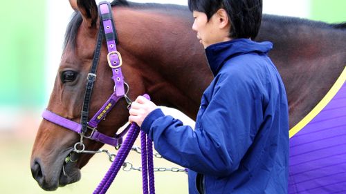 Japanese horse Admire Rakti remains favourite to take out Melbourne Cup