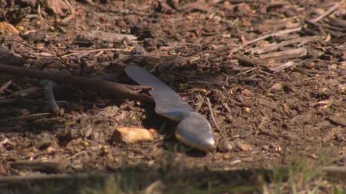 Un couteau de cuisine retrouvé sur les lieux.  La police n'a pas encore déterminé si l'arme a été utilisée dans l'attaque.