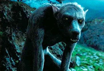 Which of Harry Potter's defence against the dark arts teachers was a werewolf?
