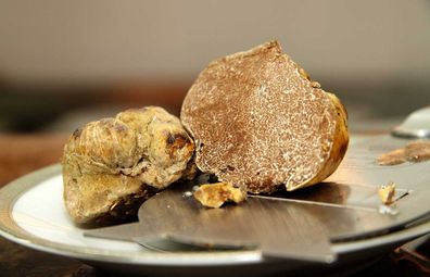 International Alba White Truffle Fair Italy 9travel