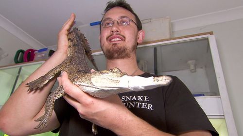 Snake catcher Mark Pelley was called in to catch the croc. (9NEWS)