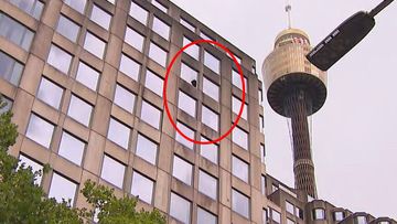 The man was staying on the 12th floor of the luxury hotel.