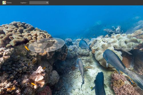Lizard Island on the Great Barrier Reef. (Google)