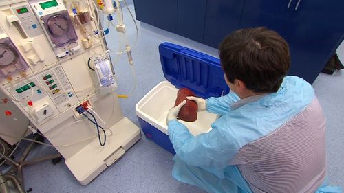 The new system to extend the life of organs is much like the way patients are treated in intensive care.