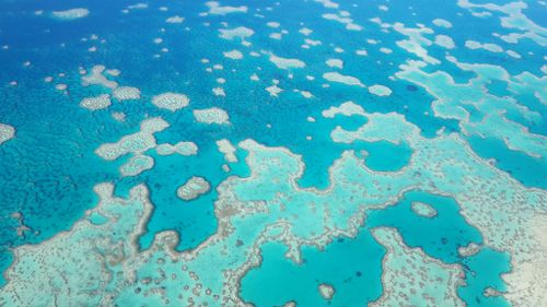 British tourist dies while diving off Port Douglas