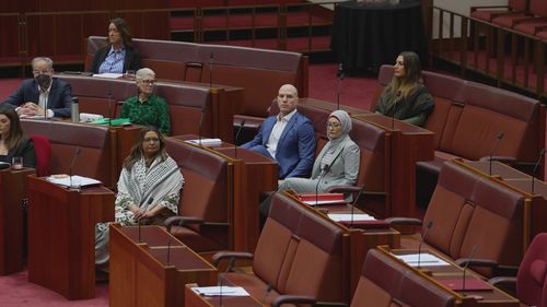 L﻿abor Senator Fatima Payman could face expulsion after crossing the floor to vote against her own party to recognise Palestine as a state. 