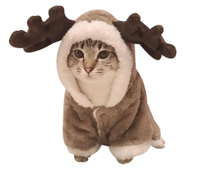 Cat Christmas Elk costume