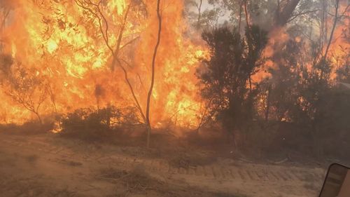 The fire is travelling from Grampians National Park in a northerly direction towards Halls Gap. Bushfire, Victoria, Saturday, December 21, 2024. GTV 6pm pack.