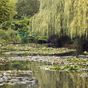 How to visit Monet's Garden from Paris