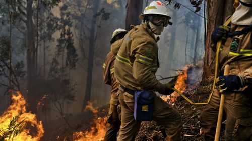 Fire fighters battle flames on the island of Madeira. (AFP)