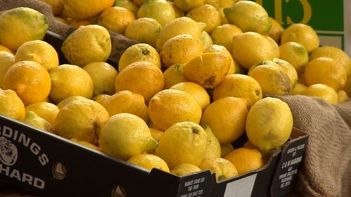 The current price of lemons is leaving a sour taste in shoppers' mouths.