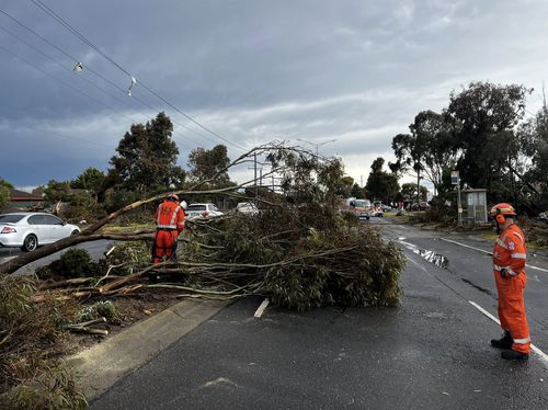 Storms bring down trees in Melbourne (Wyndham)