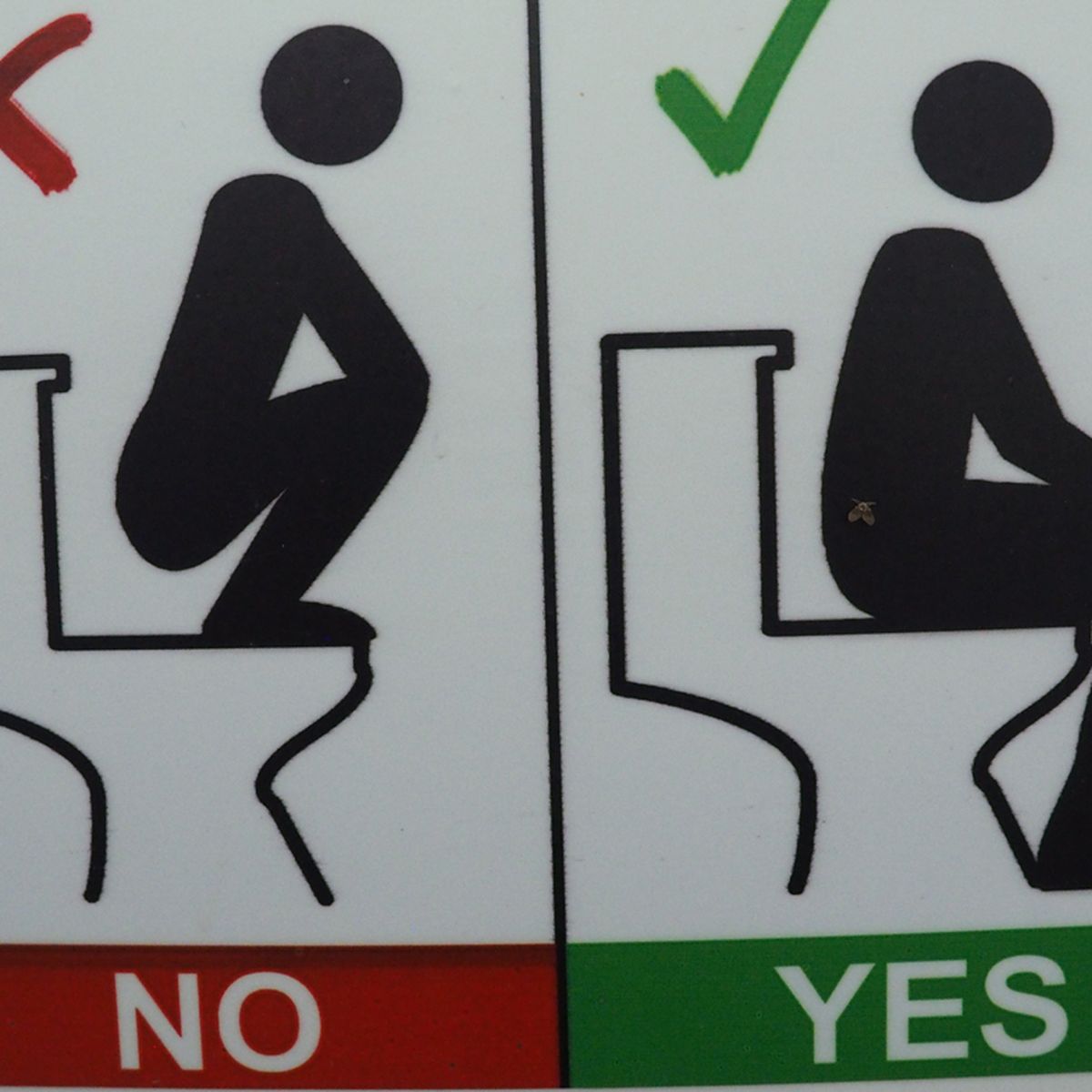 Pauline Hanson hates them, but are squat toilets actually better for you? -  9Coach