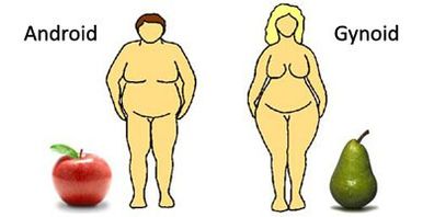 Why Your Body Seems To Store Fat In All The Wrong Places 9coach