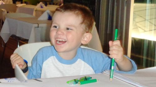William Tyrrell has not been seen since he disappeared on September 12 last year. (Supplied)