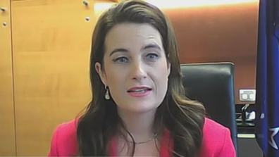 Nicola Willis sausage comments in NZ parliament