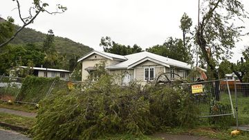 A tree is shown knocked over by strong winds on January 26, 2024 in Townsville, Australia