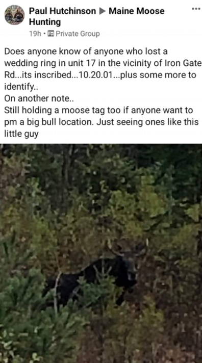 A moose hunter posted about the find on Facebook.