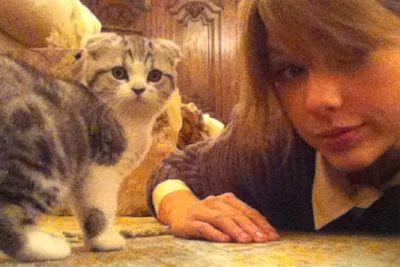 <i>People</i> don't get much cuter than Taylor Swift, so it stands to reason that her Scottish Fold kitten, Meredith, should be cute as hell, too.
