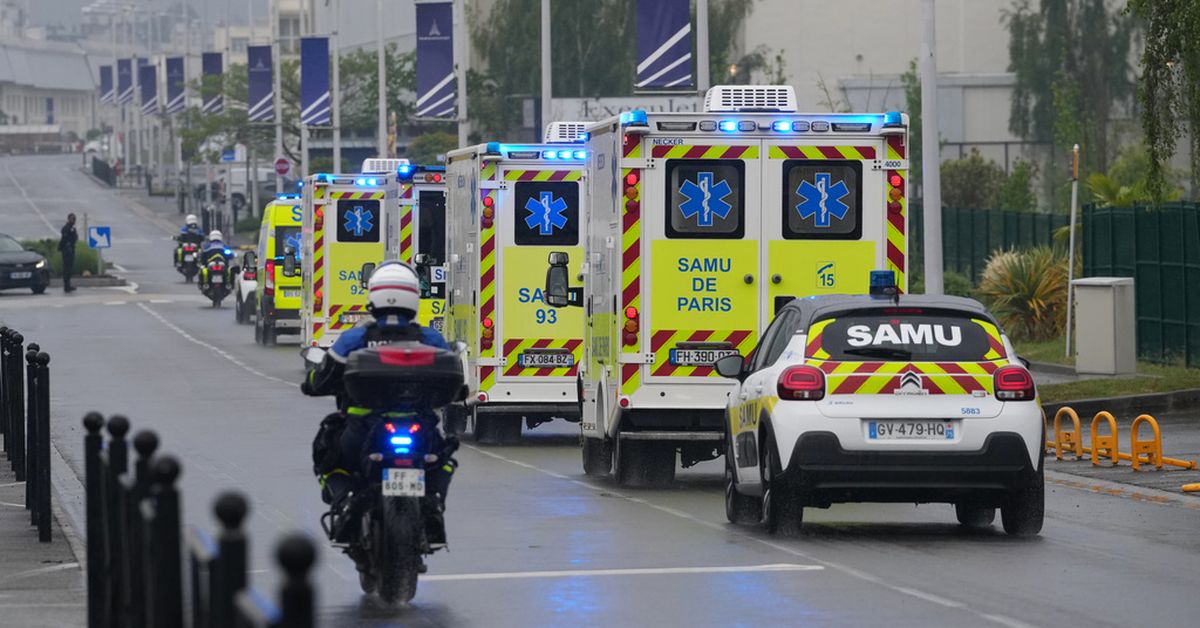 French hantavirus patient is critically ill and on an artificial lung