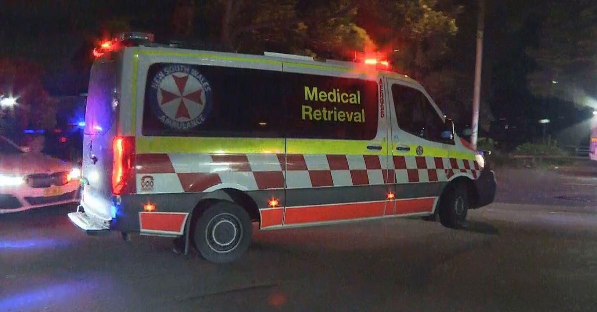 Police search for group after man stabbed to death in ‘family park’ in Sydney – 9News