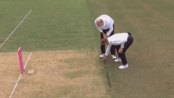 Umpires Paul Reiffel and Paul Wilson inspect the pitch.