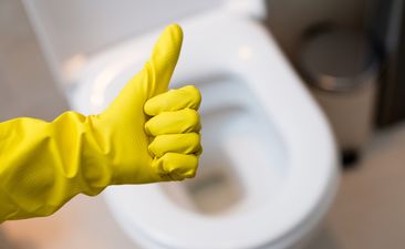 Close up of female hand with yellow protective rubber glove showing thumb up ok sign against clean toilet. Spring cleaning