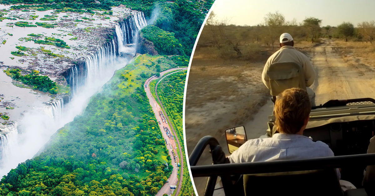 'Still gives me shivers': Wild moment in Africa humbles seasoned travel host
