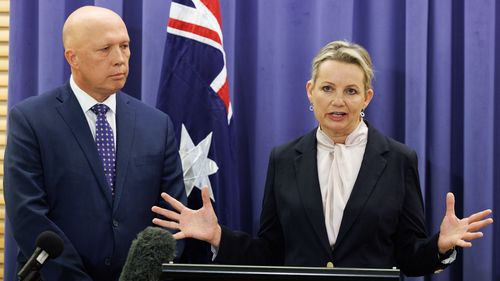 Liberal deputy leader Sussan Ley speaking at Parliament House in Canberra.