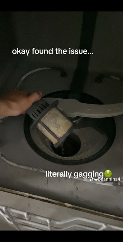 Tiktok shows dishwasher hack