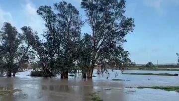 WA floods wild weather 