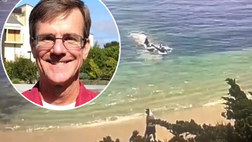 CCTV video captured the moment three &#x27;Good Samaritans&#x27; helped save a swimmer attacked by a shark.