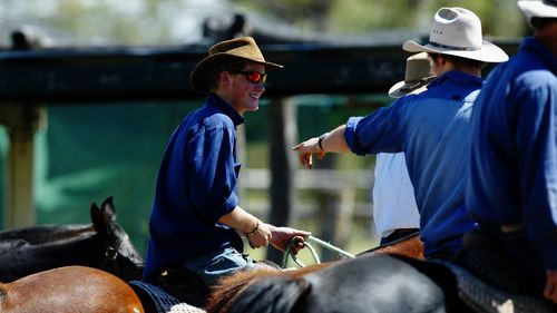 Prince Harry Photo Call at the Tooloombilla Property in Queensland 