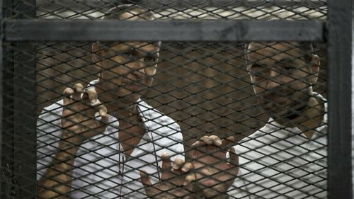 Another delay in verdict of Peter Greste's Egyptian court case