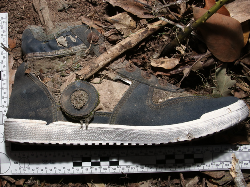 Detectives release new information about human remains found near Gympie