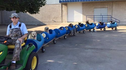 The rescued stray dogs ride around the neighbourhood. (Facebook)