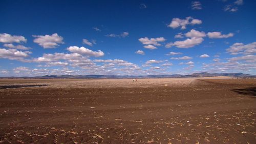 The drought is believed to be the worst for Australia's farms since the 1960s. 