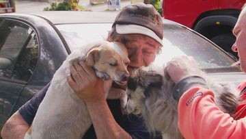 Firefighters revive dog after house fire in Adelaide.