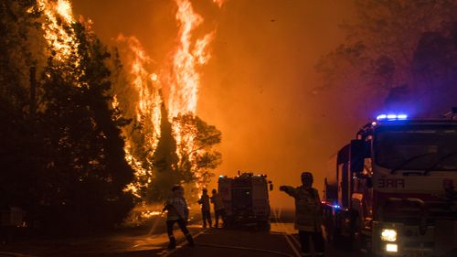 A bush fire near Bilpin, NSW during the black summer.