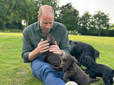 Prince William and puppies
