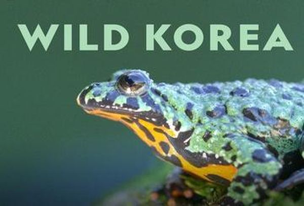 Wild Korea