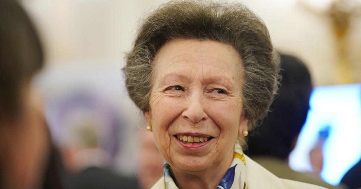 Princess Anne takes on new role weeks after retirement remark