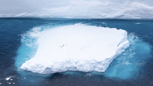 A fragment which had broken off from one of the largest recorded icebergs, called the A68a, floating near the island of South Georgia in the South Atlantic in December 2020.