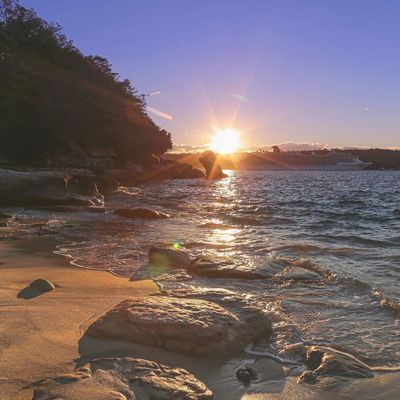Vaucluse Bay, Sydney