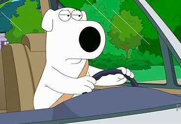 What type of car does Family Guy's Brian Griffin usually drive?