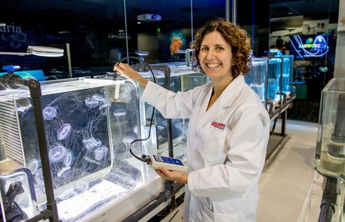 Kylie Pitt was among the Australian researchers who contributed to the game-changing study.